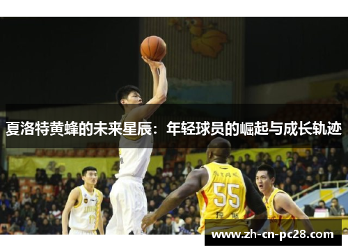 夏洛特黄蜂的未来星辰：年轻球员的崛起与成长轨迹