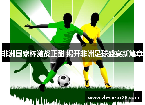 非洲国家杯激战正酣 揭开非洲足球盛宴新篇章 非洲国家杯激战正酣 揭开非洲足球盛宴新篇章