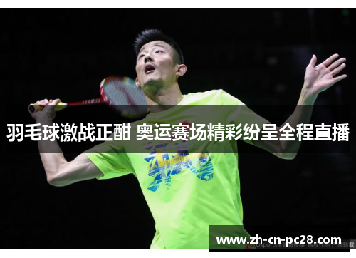 羽毛球激战正酣 奥运赛场精彩纷呈全程直播